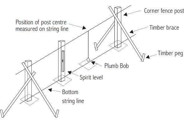 Setting out intermediate posts